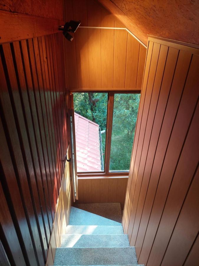 Cabana Cu Teren De Tenis -- Etaj Banita 外观 照片