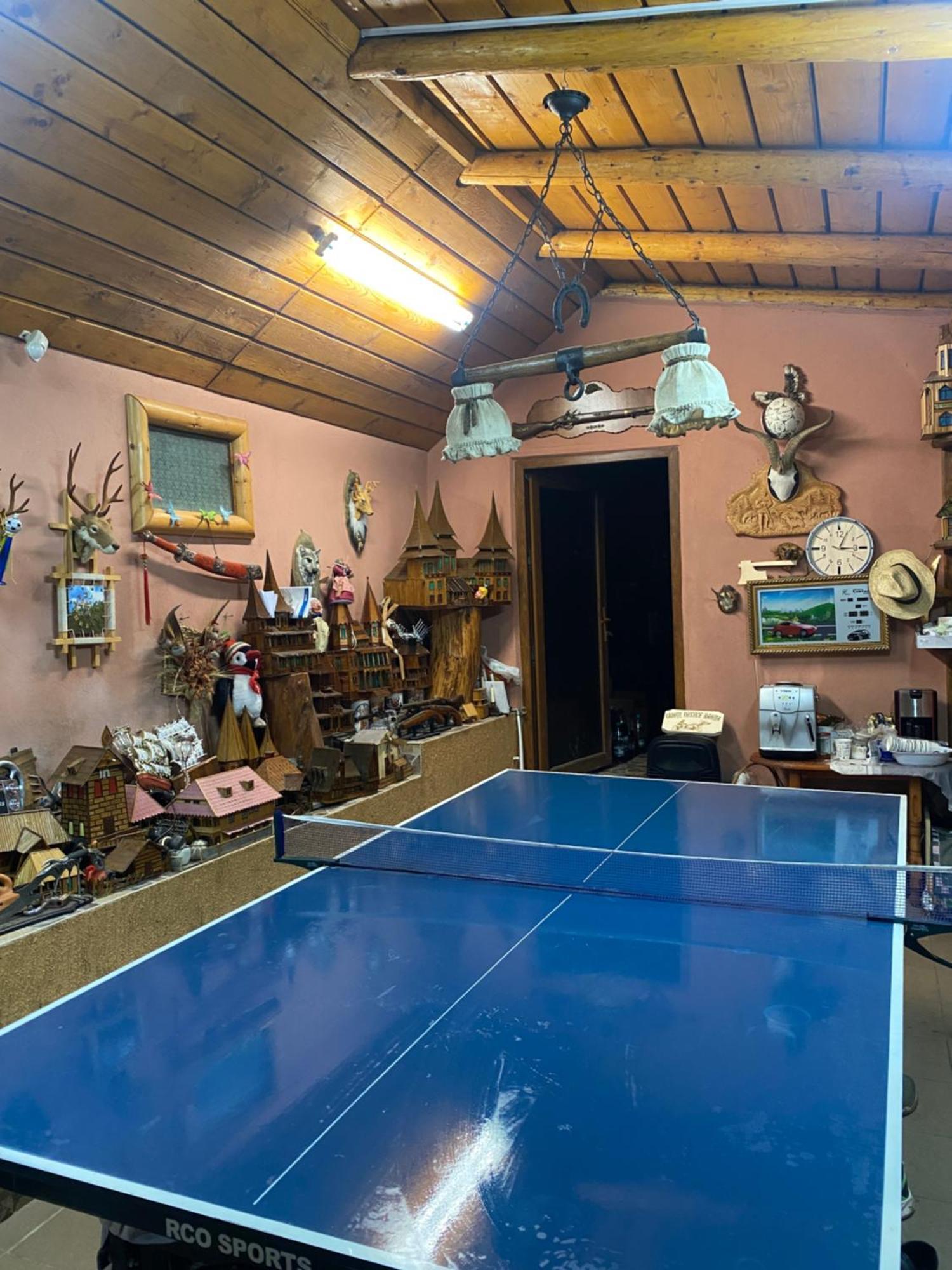 Cabana Cu Teren De Tenis -- Etaj Banita 外观 照片